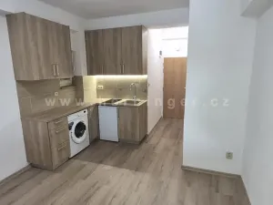 Pronájem bytu 1+kk, Ostrava - Poruba, Čs. exilu, 18 m2