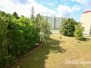 Pronájem bytu 2+1, Brno, Voříškova, 56 m2