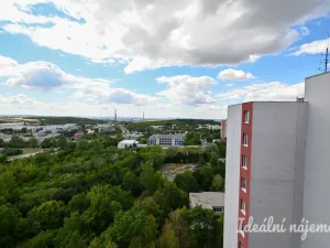 Pronájem bytu 3+1, Brno, Velkopavlovická, 71 m2