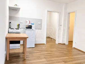 Prodej bytu 1+kk, Praha - Hodkovičky, Pod lysinami