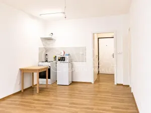 Prodej bytu 1+kk, Praha - Hodkovičky, Pod lysinami