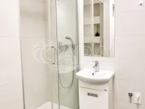 Prodej bytu 1+kk, Praha - Hodkovičky, Pod lysinami