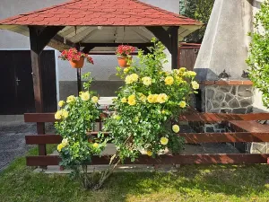 Prodej rodinného domu, Nalžovské Hory, 130 m2