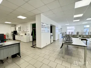 Pronájem obchodního prostoru, Sokolov, Ondříčkova, 100 m2