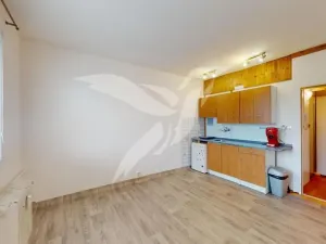 Pronájem bytu 1+kk, Plzeň, Polední, 21 m2