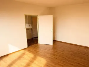 Pronájem bytu 1+1, Ostrov, Kollárova, 38 m2