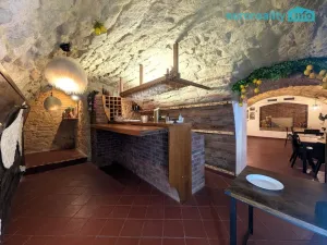 Pronájem restaurace, Plzeň, Zbrojnická, 75 m2