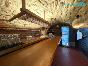 Pronájem restaurace, Plzeň, Zbrojnická, 75 m2