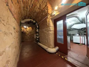 Pronájem restaurace, Plzeň, Zbrojnická, 75 m2