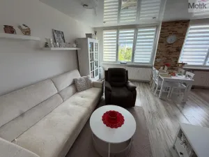 Prodej bytu 3+1, Most, Růžová, 55 m2