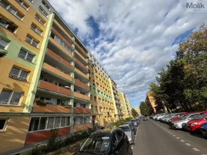 Prodej bytu 3+1, Most, Růžová, 55 m2