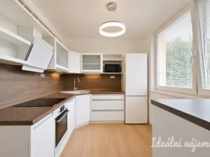 Pronájem bytu 2+1, Židlochovice, sídl. Družba, 52 m2
