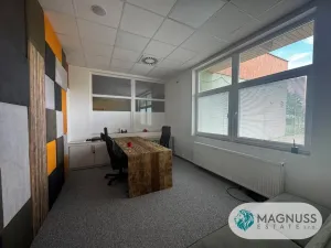 Pronájem obchodního prostoru, Litovel, Vítězná, 248 m2