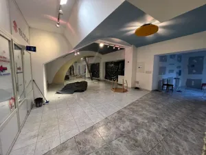 Pronájem komerční nemovitosti, Praha - Břevnov, Diskařská, 700 m2