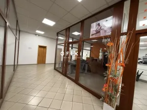 Pronájem obchodního prostoru, Brno - Brno-město, Orlí, 31 m2