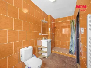 Prodej ubytování, Králíky - Prostřední Lipka, 287 m2
