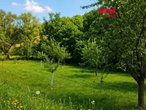 Prodej louky, Kokory, 1126 m2