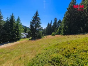 Prodej pozemku pro bydlení, Nové Hamry, 776 m2