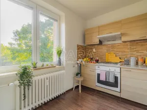 Pronájem bytu 2+kk, Ostrava - Zábřeh, Svazácká, 55 m2