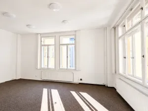 Pronájem kanceláře, Praha - Nové Město, Vodičkova, 31 m2