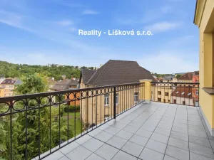 Pronájem bytu 4+kk, Ústí nad Labem - Klíše, Beethovenova, 152 m2