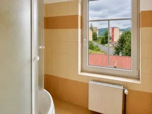 Pronájem bytu 1+1, Děčín - Děčín VI-Letná, Rokycanova, 39 m2