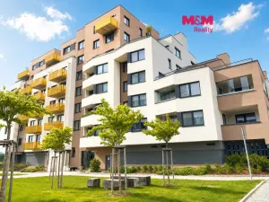 Pronájem bytu 1+kk, Praha - Dolní Měcholupy, Honzíkova, 28 m2
