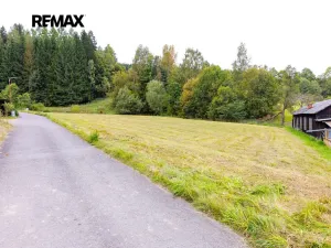 Prodej louky, Orličky, 61702 m2