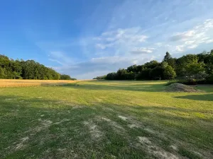 Prodej pozemku pro bydlení, Bukovina u Přelouče, 800 m2