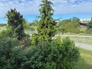 Pronájem bytu 3+1, České Budějovice, V Oblouku, 80 m2