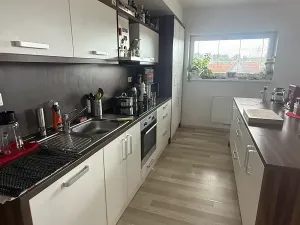 Pronájem bytu 3+kk, Plzeň, U Velkého rybníka, 104 m2