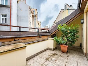 Pronájem bytu 4+kk, Praha - Nové Město, Truhlářská, 221 m2