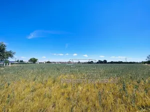 Prodej louky, Vodňany, Stožická, 3872 m2
