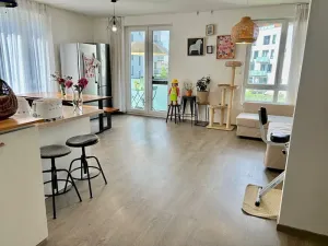 Pronájem bytu 4+kk, Ostrava, Na Prádle, 150 m2