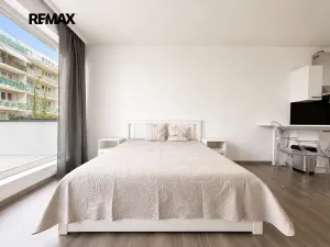 Pronájem bytu 1+kk, Plzeň, Goldscheiderova, 40 m2