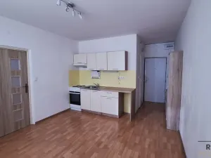 Pronájem bytu 1+1, Ústí nad Labem, Šípková, 32 m2