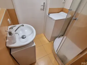 Pronájem bytu 1+1, Ústí nad Labem, Šípková, 32 m2