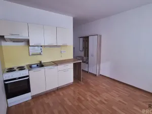 Pronájem bytu 1+1, Ústí nad Labem, Šípková, 32 m2