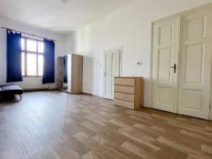 Pronájem bytu 1+1, České Budějovice - České Budějovice 3, 53 m2