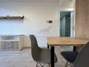 Pronájem bytu 1+kk, Praha - Smíchov, Plzeňská, 22 m2