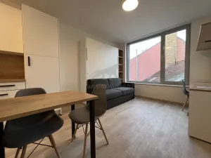 Pronájem bytu 1+kk, Praha - Smíchov, Plzeňská, 22 m2