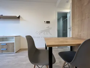 Pronájem bytu 1+kk, Praha - Smíchov, Plzeňská, 22 m2