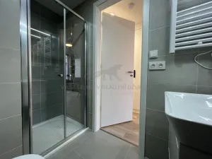 Pronájem bytu 1+kk, Praha - Smíchov, Plzeňská, 22 m2