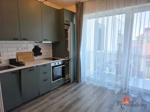 Pronájem bytu 1+kk, Brno - Trnitá, Křenová, 28 m2