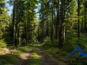 Prodej lesa, Zlatníky,, 7215 m2