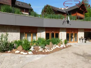 Prodej vily, Jablonec nad Nisou, Na Kopci, 820 m2
