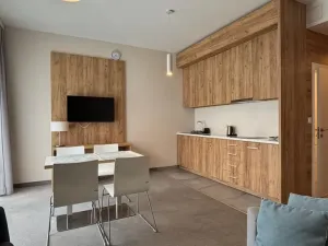 Prodej bytu 2+kk, Dolní Morava, 44 m2