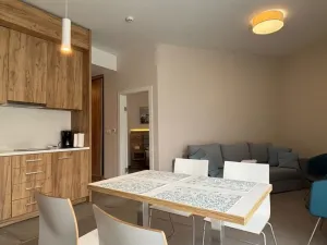 Prodej bytu 2+kk, Dolní Morava, 44 m2