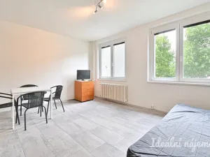 Pronájem bytu 1+kk, Brno, Spodní, 32 m2