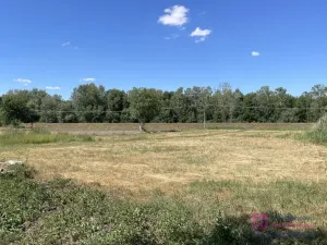 Prodej pozemku pro bydlení, Břeclav - Poštorná, 4463 m2